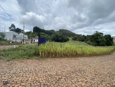 imagem-miniatura