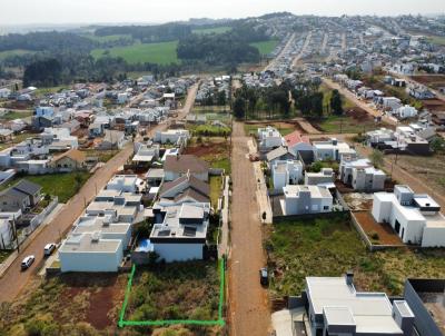 imagem-miniatura