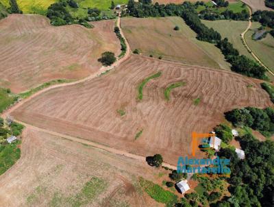 rea Rural para Venda, em Vitorino, bairro Rural
