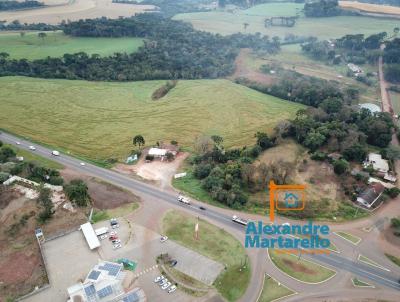 Terreno para Venda, em Vitorino, bairro Industrial